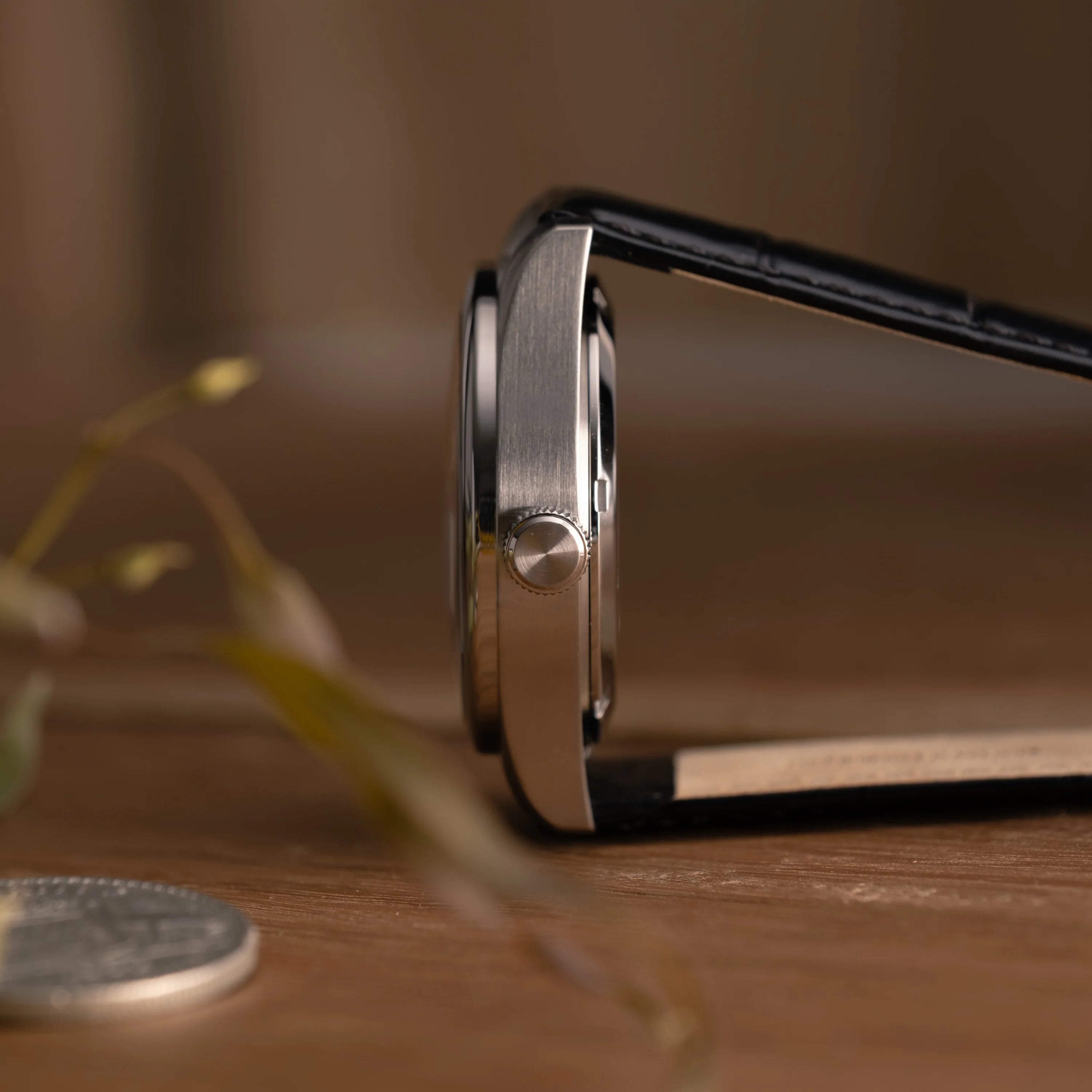 Stainless Steel case, Florin Dial